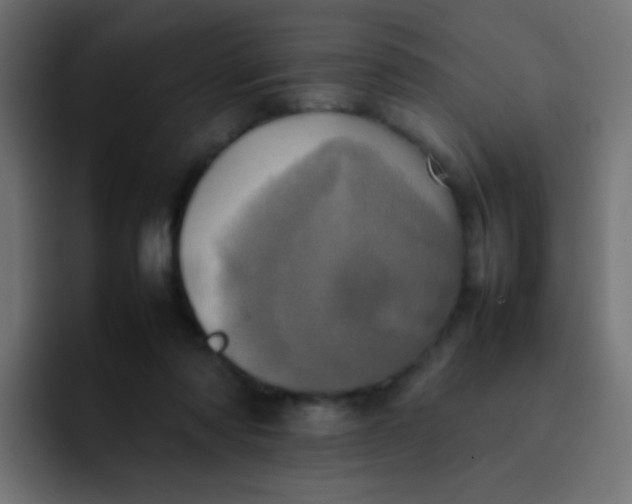 X0000092090310200710031159