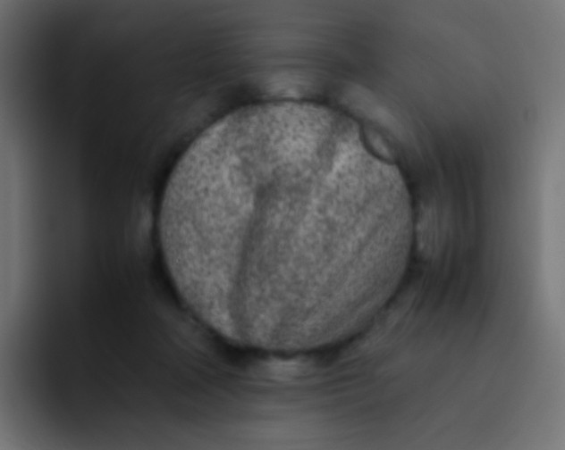 X0000092090314200710031159