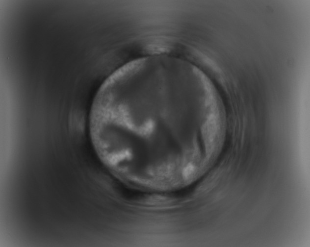 X0000092090315200710031159