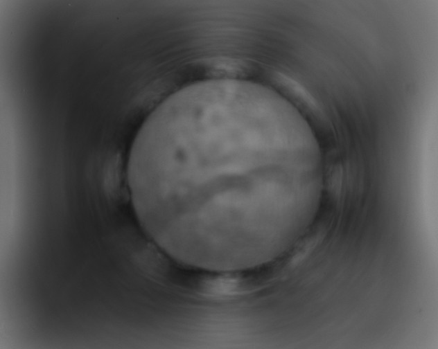 X0000092090318200710031159