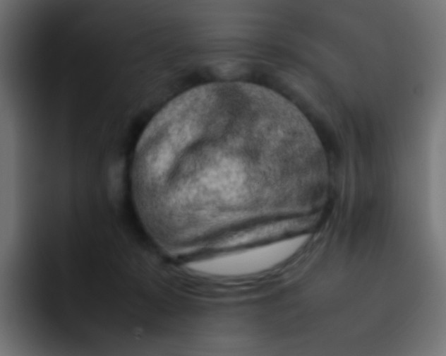 X0000092090319200710031159