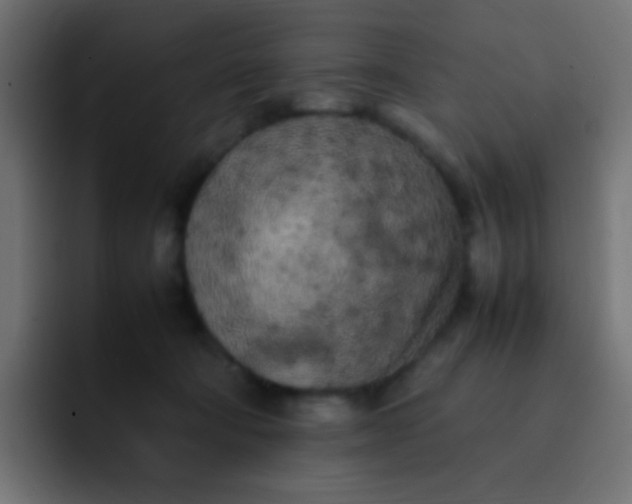 X0000092090322200710031159