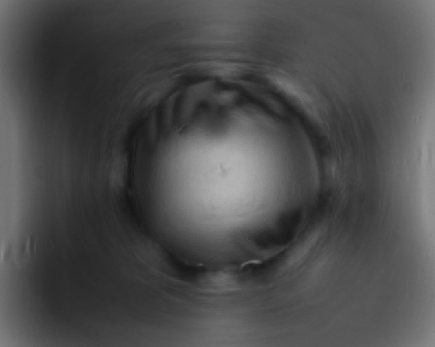 X0000092090325200710031159