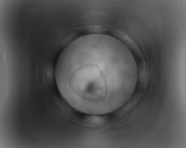 X0000092090326200710031159