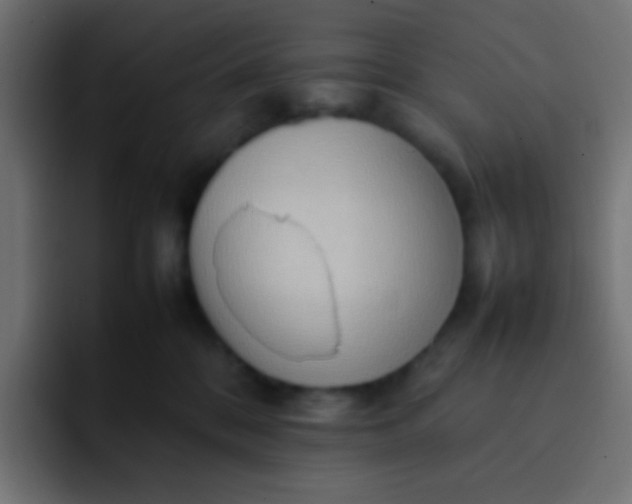 X0000092090328200710031159