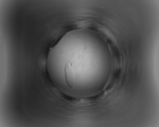 X0000092090329200710031159