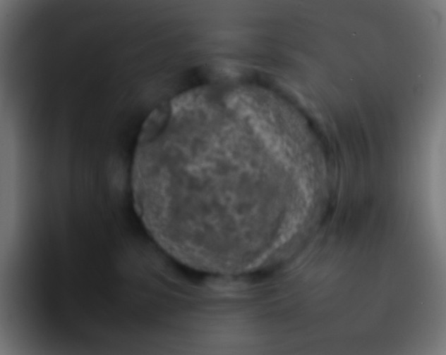 X0000092090331200710031159