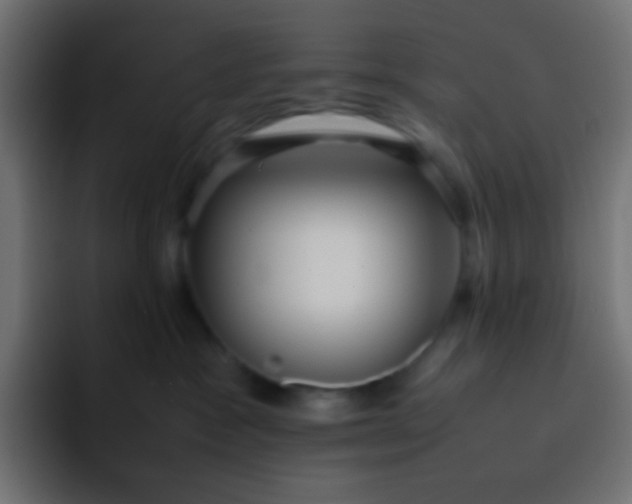 X0000092090333200710031159