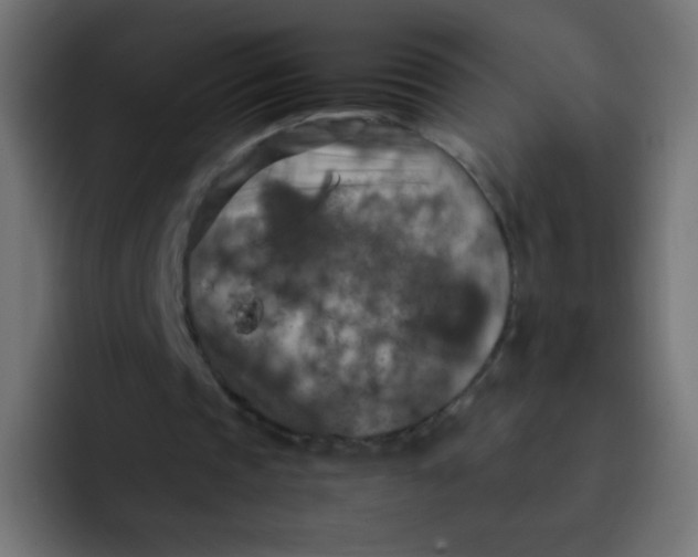 X0000092090337200710031158