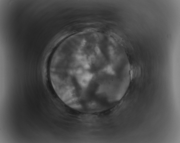 X0000092090339200710031158