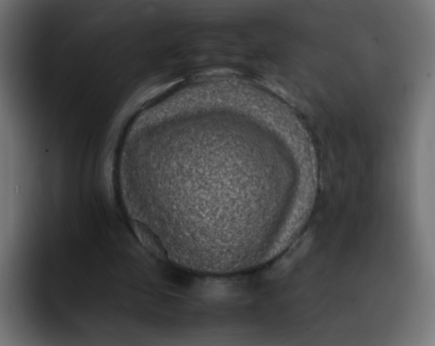 X0000092090341200710031158