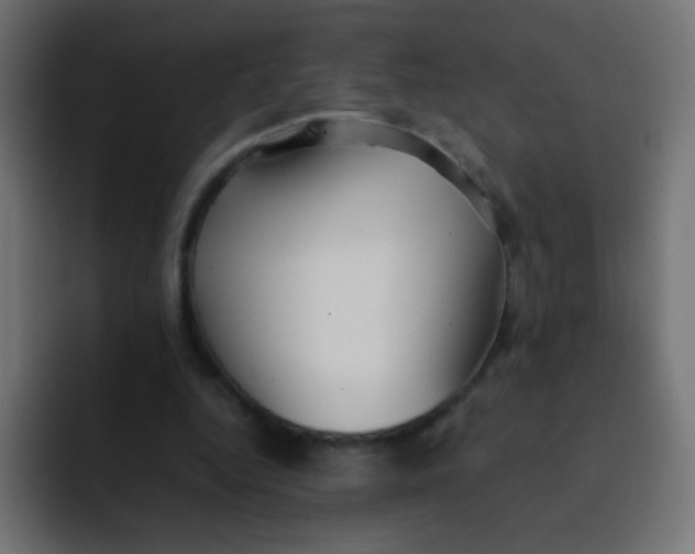 X0000092090344200710031158