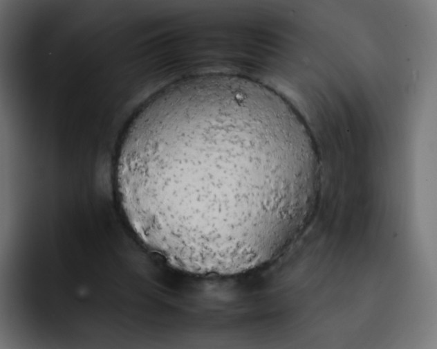 X0000092090345200710031158