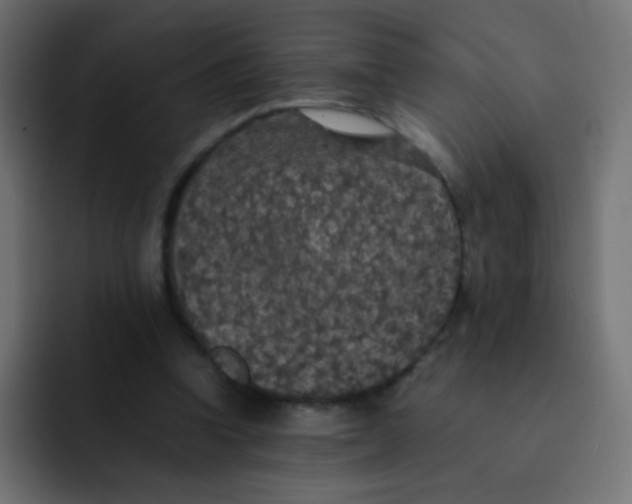 X0000092090346200710031158