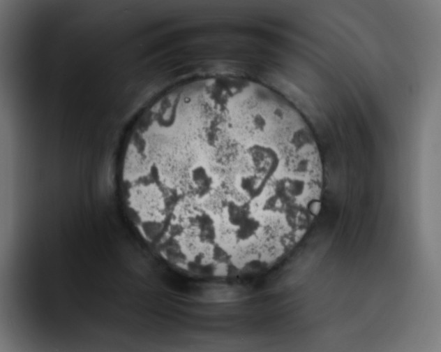 X0000092090347200710031158