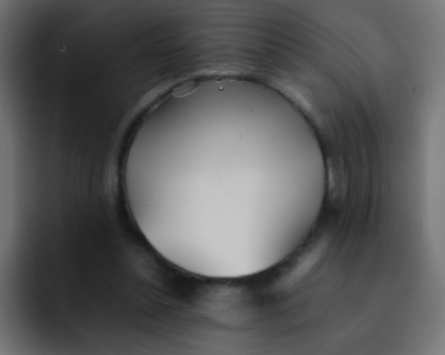 X0000092090348200710031158