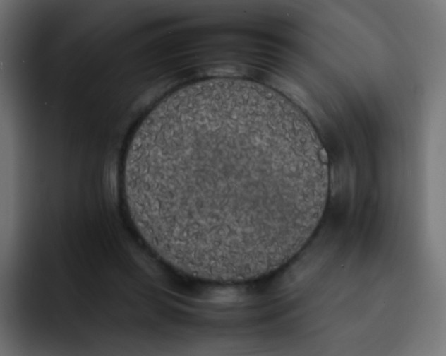 X0000092090349200710031158