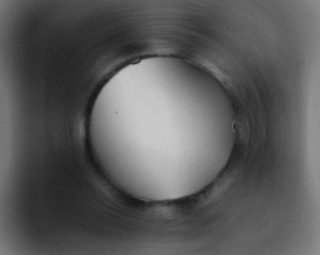 X0000092090350200710031158