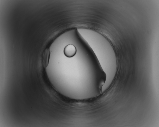 X0000092090352200710031158