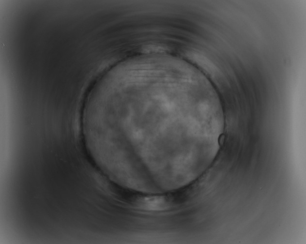 X0000092090353200710031158