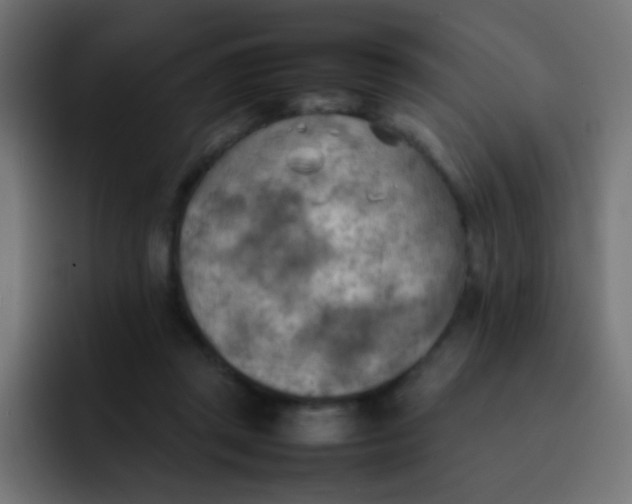 X0000092090357200710031158