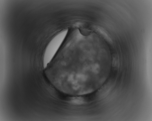 X0000092090363200710031158