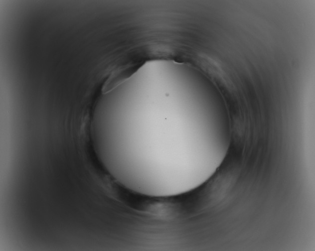 X0000092090364200710031158