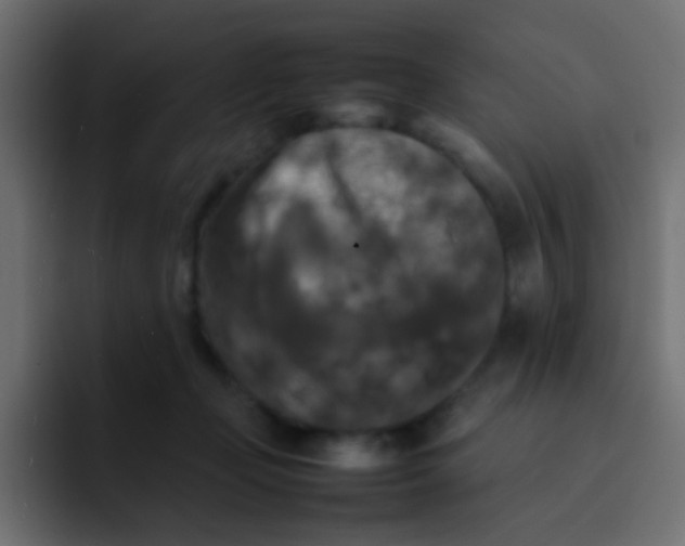 X0000092090365200710031158