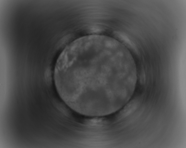 X0000092090366200710031158