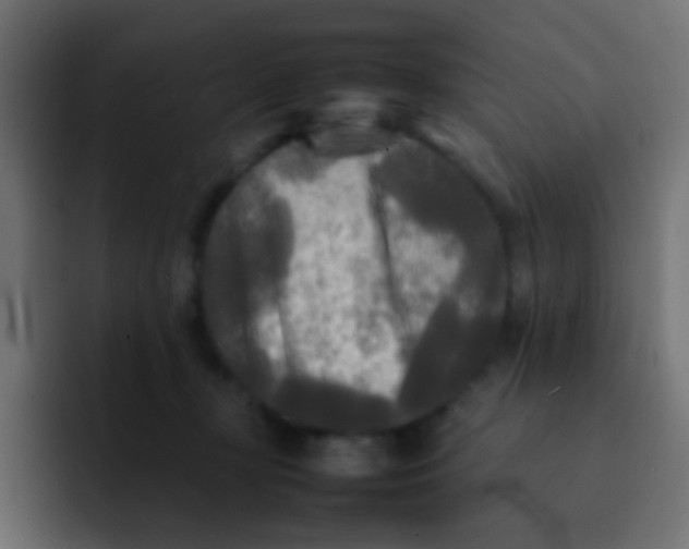 X0000092090367200710031158