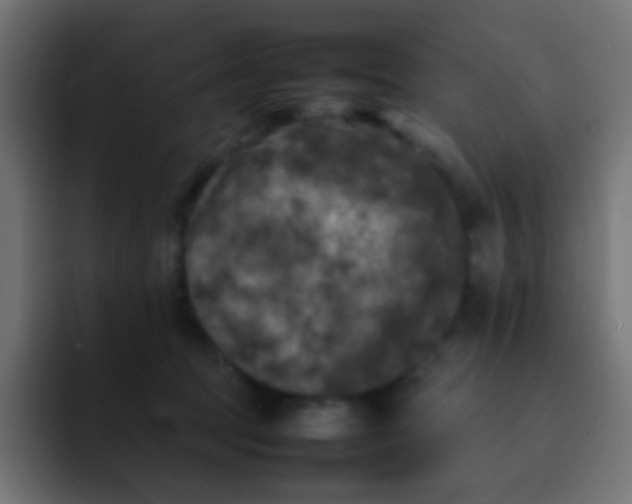 X0000092090369200710031158