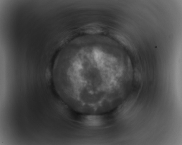 X0000092090371200710031158