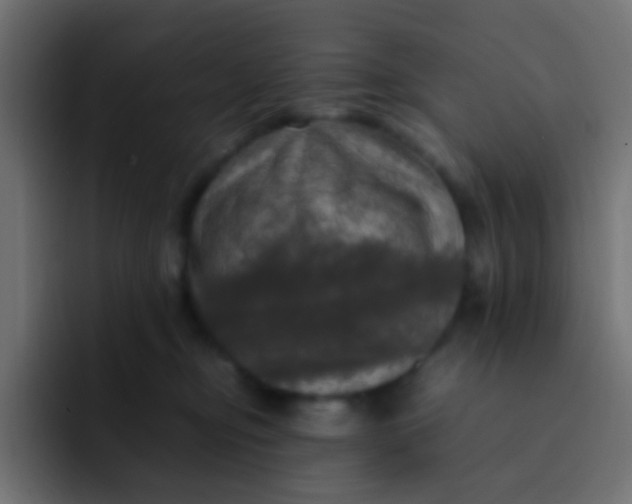 X0000092090374200710031158