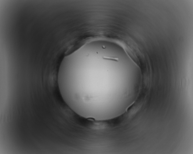 X0000092090376200710031158