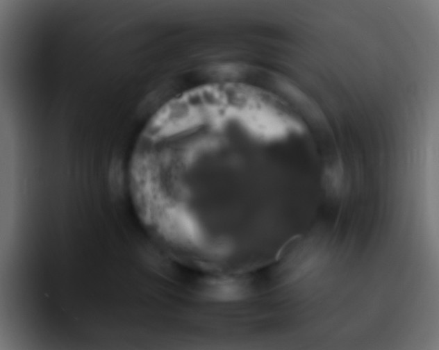 X0000092090381200710031158