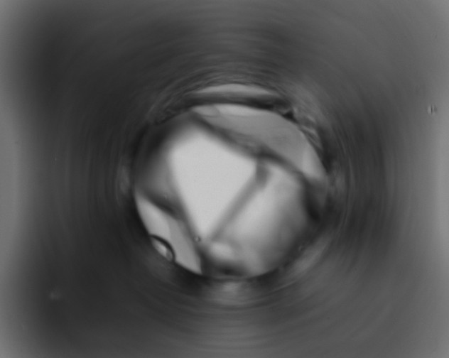 X0000092090382200710031158