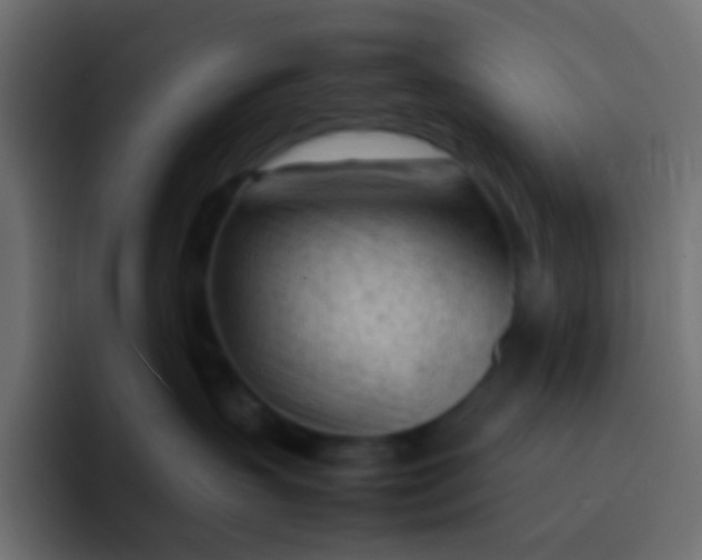 X0000092090383200710031158