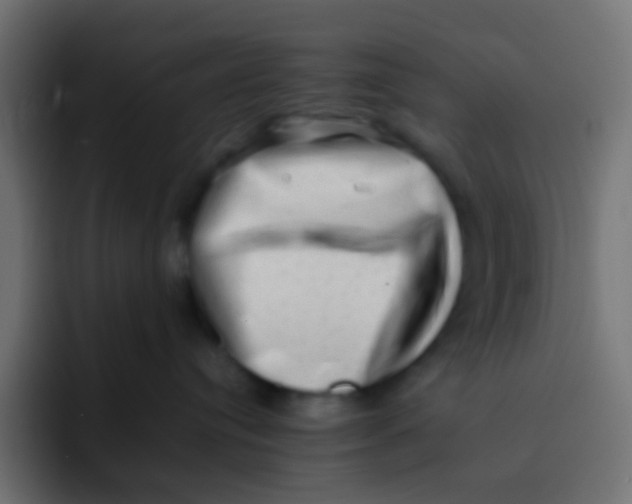 X0000092090384200710031158