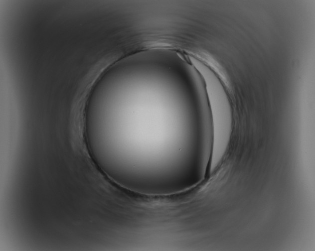 X0000092090385200710031158