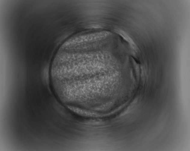 X0000092090386200710031158