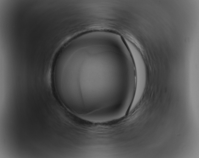 X0000092090387200710031158