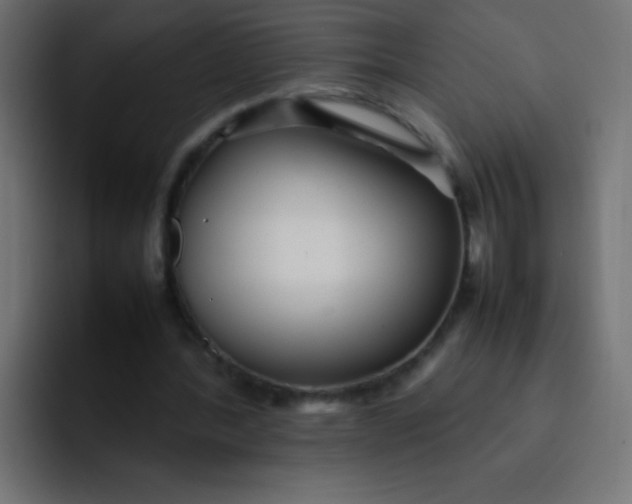 X0000092090388200710031158