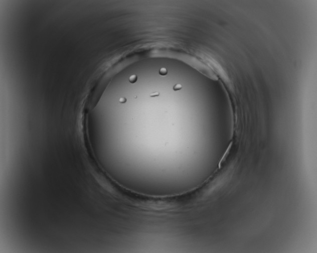 X0000092090389200710031158