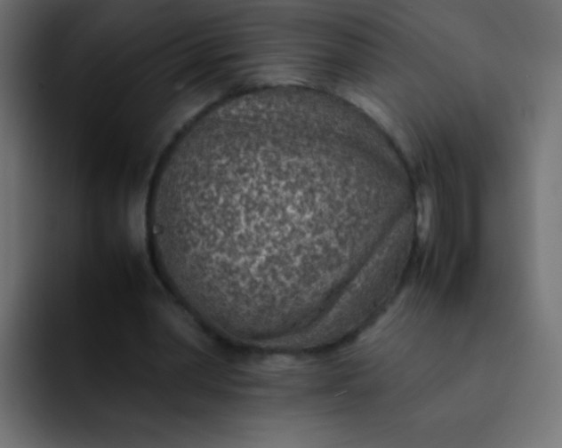 X0000092090390200710031158