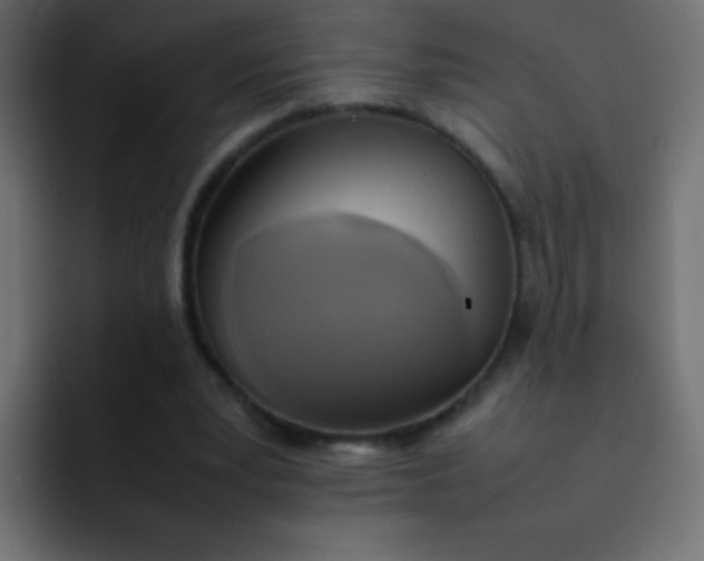 X0000092090391200710031158