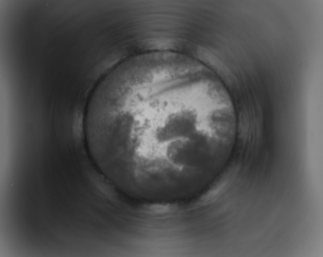 X0000092090394200710031158