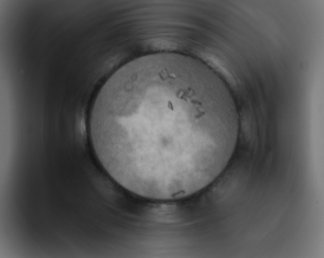 X0000092090398200710031158