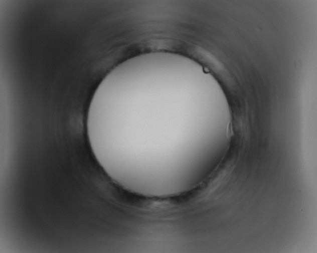 X0000092090401200710031158