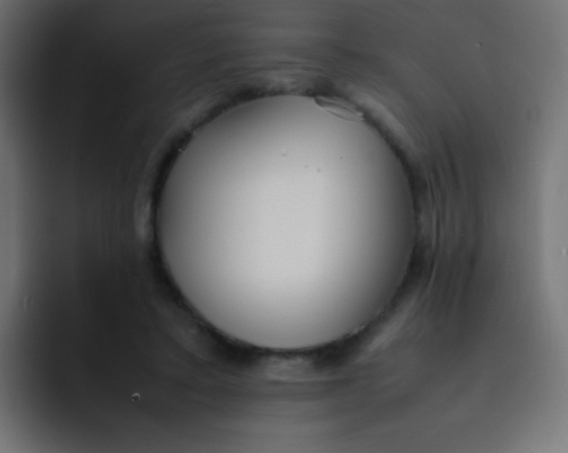 X0000092090403200710031158