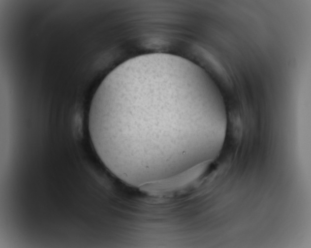 X0000092090404200710031158